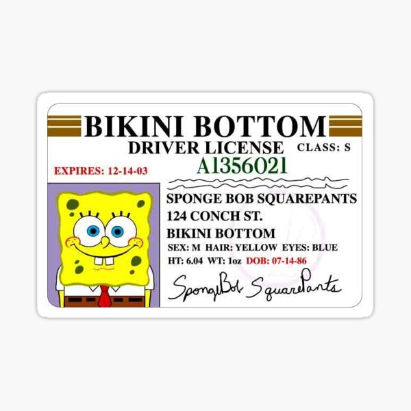 Spongebob Führerschein Kaufen